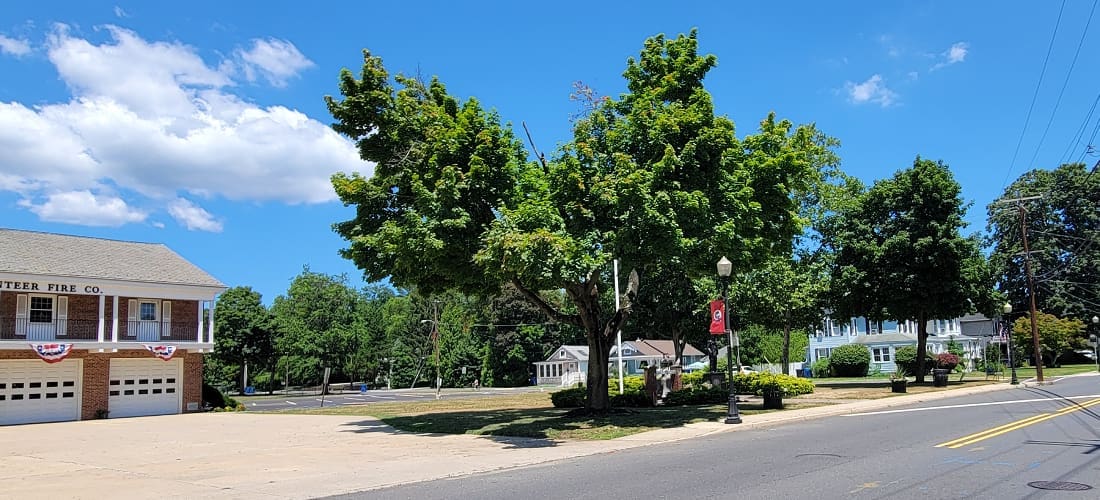 Fair Haven Served Local Area by MWD
