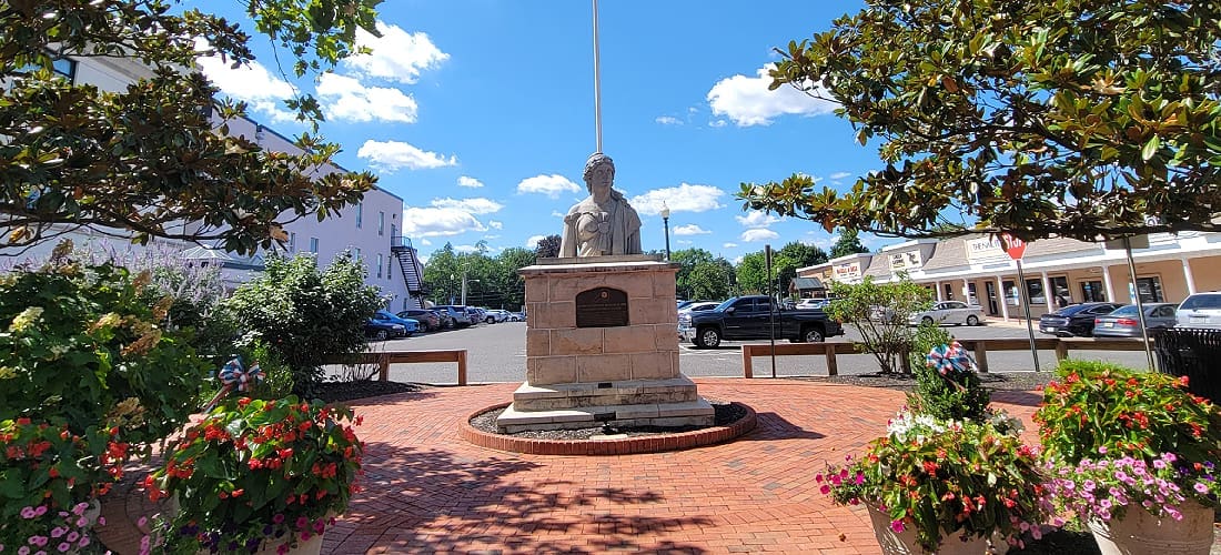Freehold Served Local Area by MWD