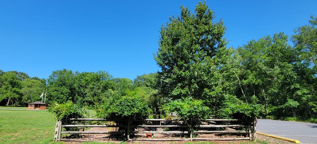Wall Township Served Local Area by MWD